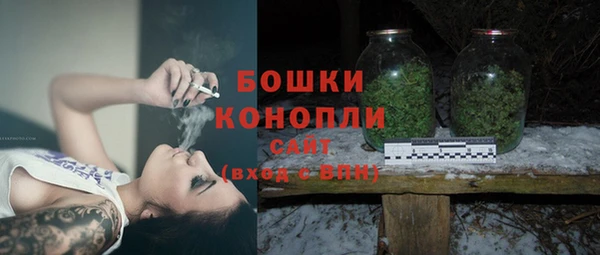 не бодяженный Бородино