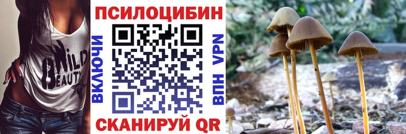 Купить закладки  Белая Холуница  Галлюциногенные грибы Cubensis 