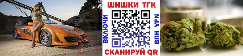 Купить  Белая Холуница  Бошки Шишки сатива 